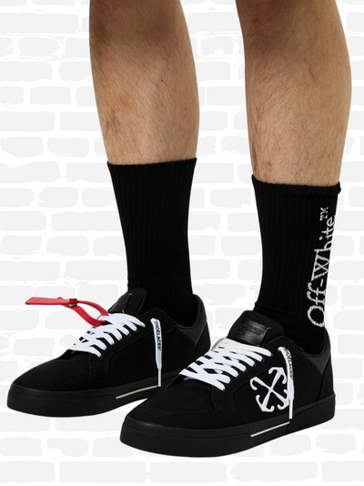 Spray protecteur pour baskets